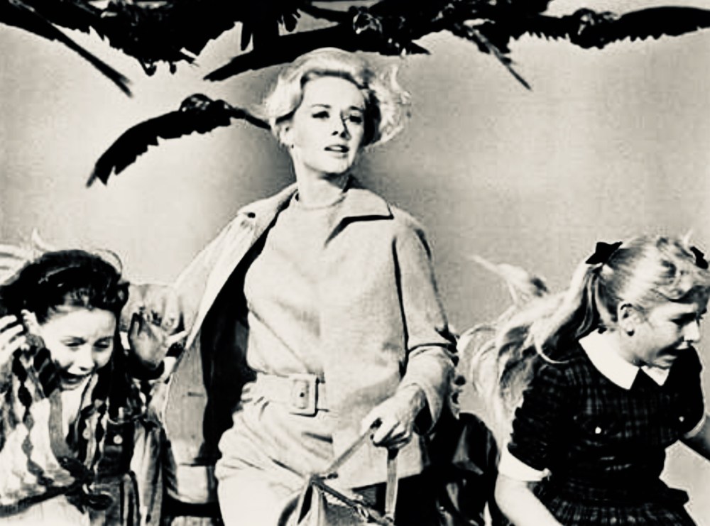 0DD4FBE2-283C-4062-AE46-9D4DBE751EA5