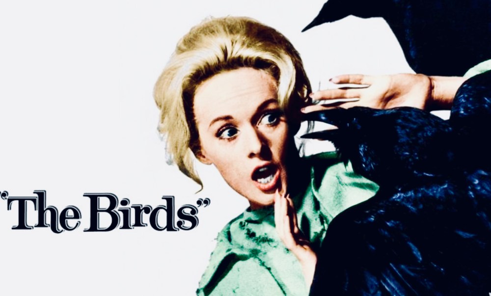 7DAEC6EA-BB1F-48EA-9B50-CBD72DEBBAB8